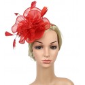 HIDOLL Diadema Fascinator Sombrero Pluma Semicircular Sombrero Tocado Banquete Novia Adornos para el Cabello