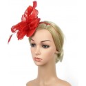 HIDOLL Diadema Fascinator Sombrero Pluma Semicircular Sombrero Tocado Banquete Novia Adornos para el Cabello