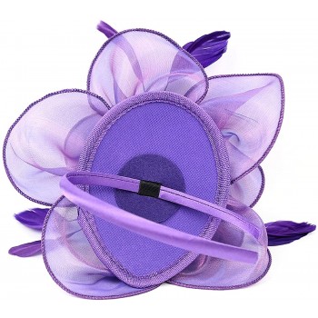 HIDOLL Diadema Fascinator Sombrero Pluma Semicircular Sombrero Tocado Banquete Novia Adornos para el Cabello