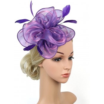 HIDOLL Diadema Fascinator Sombrero Pluma Semicircular Sombrero Tocado Banquete Novia Adornos para el Cabello