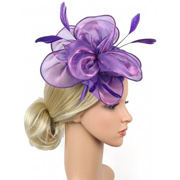 HIDOLL Diadema Fascinator Sombrero Pluma Semicircular Sombrero Tocado Banquete Novia Adornos para el Cabello