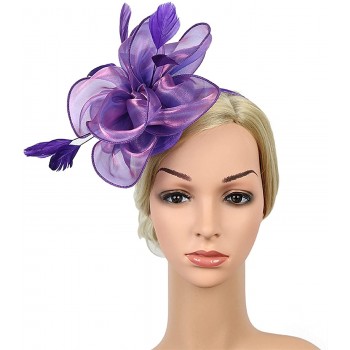 HIDOLL Diadema Fascinator Sombrero Pluma Semicircular Sombrero Tocado Banquete Novia Adornos para el Cabello