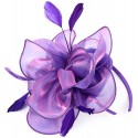 HIDOLL Diadema Fascinator Sombrero Pluma Semicircular Sombrero Tocado Banquete Novia Adornos para el Cabello