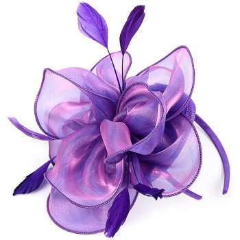 HIDOLL Diadema Fascinator Sombrero Pluma Semicircular Sombrero Tocado Banquete Novia Adornos para el Cabello