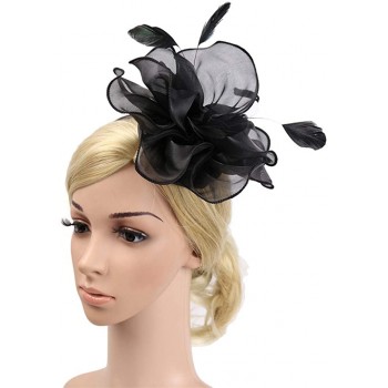 HIDOLL Diadema Fascinator Sombrero Pluma Semicircular Sombrero Tocado Banquete Novia Adornos para el Cabello