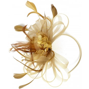 HIDOLL Diadema Fascinator Sombrero Pluma Semicircular Sombrero Tocado Banquete Novia Adornos para el Cabello