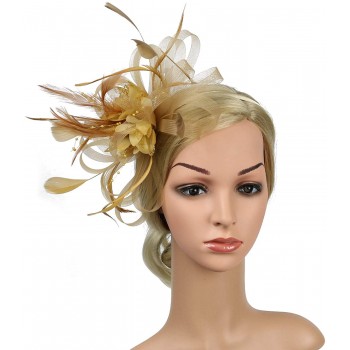 HIDOLL Diadema Fascinator Sombrero Pluma Semicircular Sombrero Tocado Banquete Novia Adornos para el Cabello