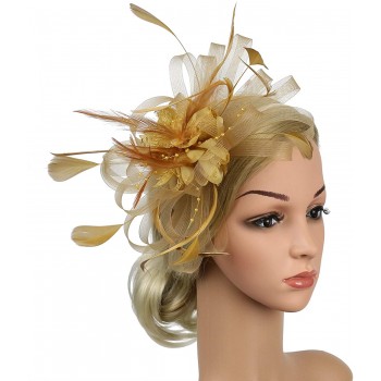 HIDOLL Diadema Fascinator Sombrero Pluma Semicircular Sombrero Tocado Banquete Novia Adornos para el Cabello