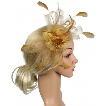 HIDOLL Diadema Fascinator Sombrero Pluma Semicircular Sombrero Tocado Banquete Novia Adornos para el Cabello