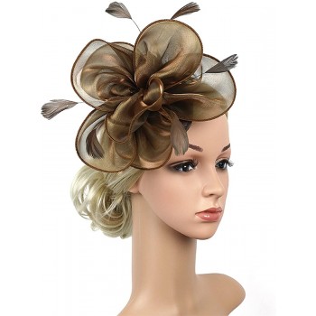 HIDOLL Diadema Fascinator Sombrero Pluma Semicircular Sombrero Tocado Banquete Novia Adornos para el Cabello