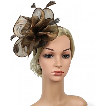 HIDOLL Diadema Fascinator Sombrero Pluma Semicircular Sombrero Tocado Banquete Novia Adornos para el Cabello