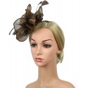 HIDOLL Diadema Fascinator Sombrero Pluma Semicircular Sombrero Tocado Banquete Novia Adornos para el Cabello