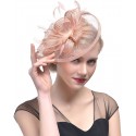 HIDOLL Diadema Fascinator Sombrero Pluma Semicircular Sombrero Tocado Banquete Novia Adornos para el Cabello