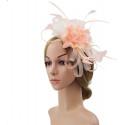 HIDOLL Diadema Fascinator Sombrero Pluma Semicircular Sombrero Tocado Banquete Novia Adornos para el Cabello