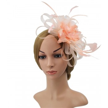 HIDOLL Diadema Fascinator Sombrero Pluma Semicircular Sombrero Tocado Banquete Novia Adornos para el Cabello