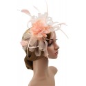 HIDOLL Diadema Fascinator Sombrero Pluma Semicircular Sombrero Tocado Banquete Novia Adornos para el Cabello