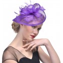 HIDOLL Diadema Fascinator Sombrero Pluma Semicircular Sombrero Tocado Banquete Novia Adornos para el Cabello