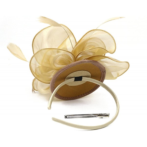 HIDOLL Diadema Fascinator Sombrero Pluma Semicircular Sombrero Tocado Banquete Novia Adornos para el Cabello