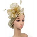 HIDOLL Diadema Fascinator Sombrero Pluma Semicircular Sombrero Tocado Banquete Novia Adornos para el Cabello