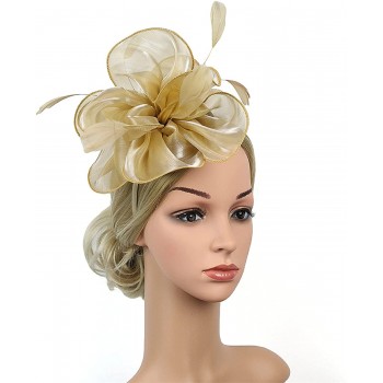 HIDOLL Diadema Fascinator Sombrero Pluma Semicircular Sombrero Tocado Banquete Novia Adornos para el Cabello