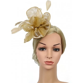 HIDOLL Diadema Fascinator Sombrero Pluma Semicircular Sombrero Tocado Banquete Novia Adornos para el Cabello