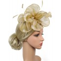 HIDOLL Diadema Fascinator Sombrero Pluma Semicircular Sombrero Tocado Banquete Novia Adornos para el Cabello