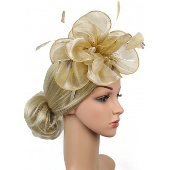 HIDOLL Diadema Fascinator Sombrero Pluma Semicircular Sombrero Tocado Banquete Novia Adornos para el Cabello