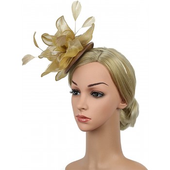 HIDOLL Diadema Fascinator Sombrero Pluma Semicircular Sombrero Tocado Banquete Novia Adornos para el Cabello