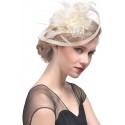 HIDOLL Diadema Fascinator Sombrero Pluma Semicircular Sombrero Tocado Banquete Novia Adornos para el Cabello