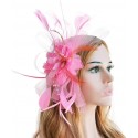 HIDOLL Diadema Fascinator Sombrero Pluma Semicircular Sombrero Tocado Banquete Novia Adornos para el Cabello