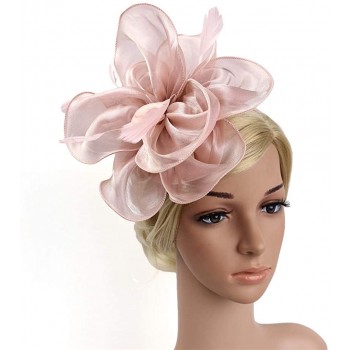 HIDOLL Diadema Fascinator Sombrero Pluma Semicircular Sombrero Tocado Banquete Novia Adornos para el Cabello