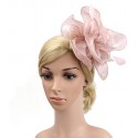 HIDOLL Diadema Fascinator Sombrero Pluma Semicircular Sombrero Tocado Banquete Novia Adornos para el Cabello