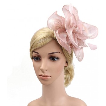 HIDOLL Diadema Fascinator Sombrero Pluma Semicircular Sombrero Tocado Banquete Novia Adornos para el Cabello