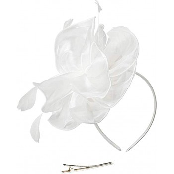 HIDOLL Diadema Fascinator Sombrero Pluma Semicircular Sombrero Tocado Banquete Novia Adornos para el Cabello