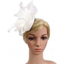 HIDOLL Diadema Fascinator Sombrero Pluma Semicircular Sombrero Tocado Banquete Novia Adornos para el Cabello