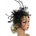 HIDOLL Diadema Fascinator Sombrero Pluma Semicircular Sombrero Tocado Banquete Novia Adornos para el Cabello