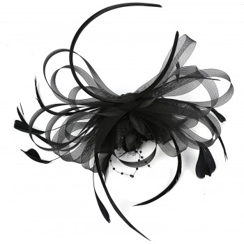 HIDOLL Diadema Fascinator Sombrero Pluma Semicircular Sombrero Tocado Banquete Novia Adornos para el Cabello