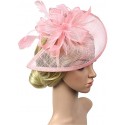 HIDOLL Diadema Fascinator Sombrero Pluma Semicircular Sombrero Tocado Banquete Novia Adornos para el Cabello