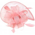 HIDOLL Diadema Fascinator Sombrero Pluma Semicircular Sombrero Tocado Banquete Novia Adornos para el Cabello