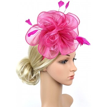 HIDOLL Diadema Fascinator Sombrero Pluma Semicircular Sombrero Tocado Banquete Novia Adornos para el Cabello