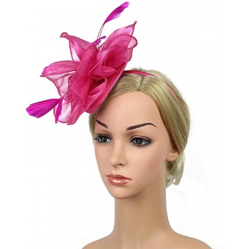 HIDOLL Diadema Fascinator Sombrero Pluma Semicircular Sombrero Tocado Banquete Novia Adornos para el Cabello