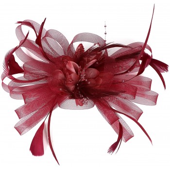 HIDOLL Diadema Fascinator Sombrero Pluma Semicircular Sombrero Tocado Banquete Novia Adornos para el Cabello