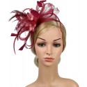 HIDOLL Diadema Fascinator Sombrero Pluma Semicircular Sombrero Tocado Banquete Novia Adornos para el Cabello