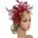 HIDOLL Diadema Fascinator Sombrero Pluma Semicircular Sombrero Tocado Banquete Novia Adornos para el Cabello