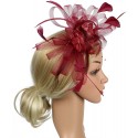 HIDOLL Diadema Fascinator Sombrero Pluma Semicircular Sombrero Tocado Banquete Novia Adornos para el Cabello