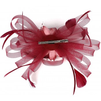 HIDOLL Diadema Fascinator Sombrero Pluma Semicircular Sombrero Tocado Banquete Novia Adornos para el Cabello