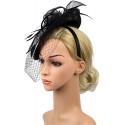 HIDOLL Diadema Fascinator Sombrero Pluma Semicircular Sombrero Tocado Banquete Novia Adornos para el Cabello