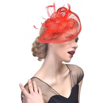 HIDOLL Diadema Fascinator Sombrero Pluma Semicircular Sombrero Tocado Banquete Novia Adornos para el Cabello