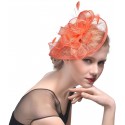 HIDOLL Diadema Fascinator Sombrero Pluma Semicircular Sombrero Tocado Banquete Novia Adornos para el Cabello